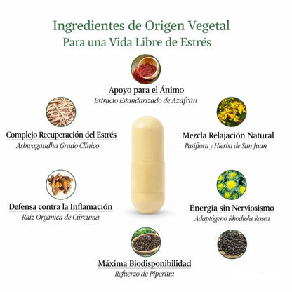 Saffron Advanced® - Menos ruido mental, mas bienestar