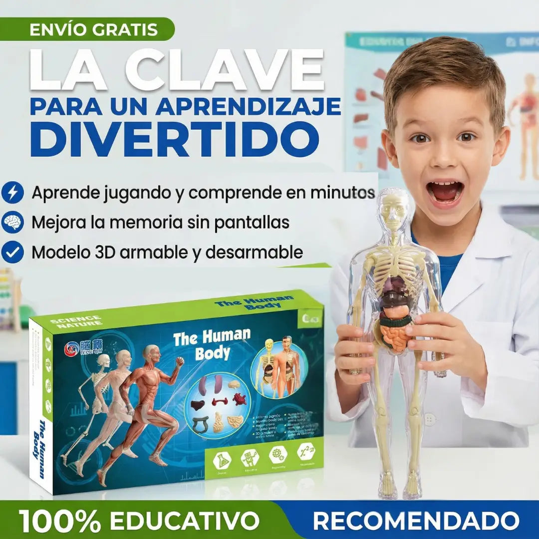 AnatoX™ — El cuerpo humano explicado fácil y rápido - 29 piezas