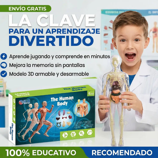 AnatoX™ — El cuerpo humano explicado fácil y rápido - 29 piezas