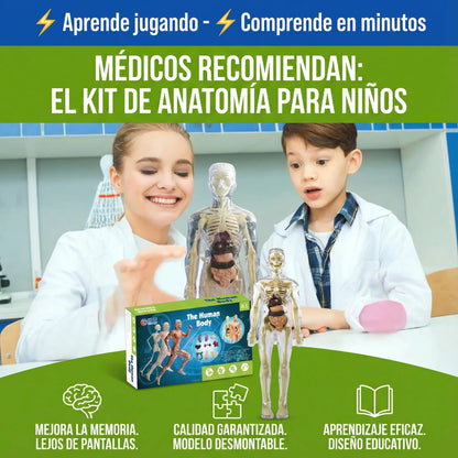 AnatoX™ — El cuerpo humano explicado fácil y rápido - 29 piezas