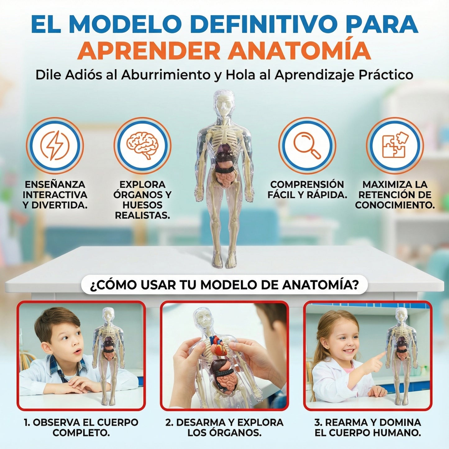 AnatoX™ — El cuerpo humano explicado fácil y rápido - 29 piezas